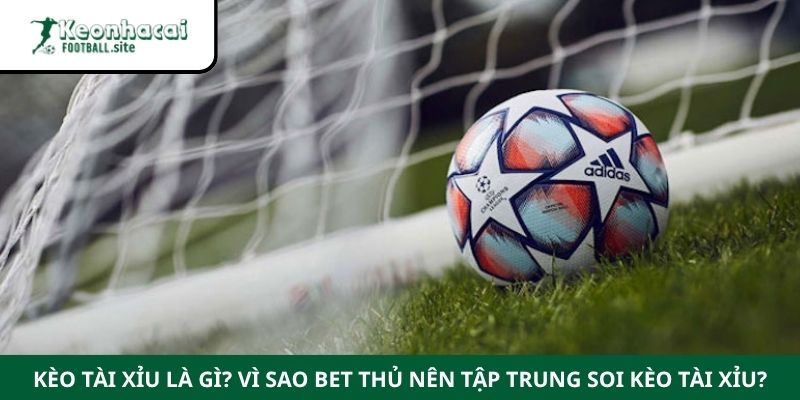 Kèo tài xỉu là gì? Vì sao bet thủ nên tập trung soi kèo tài xỉu?