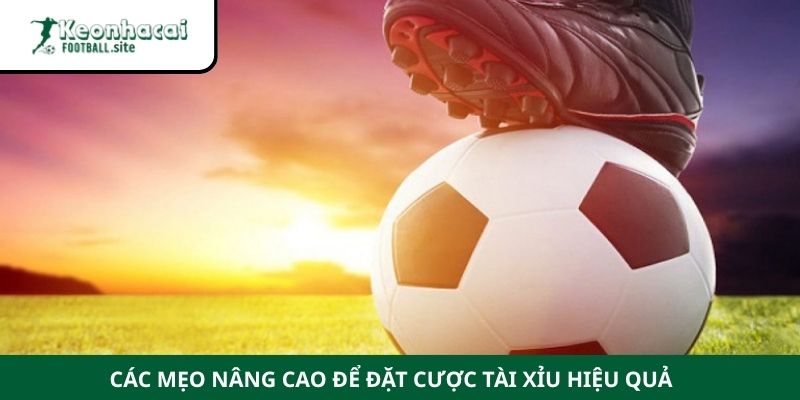 Các mẹo nâng cao để đặt cược tài xỉu hiệu quả