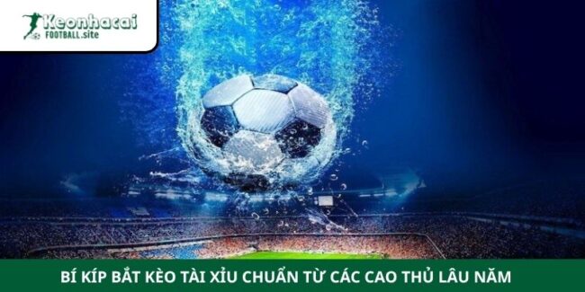 Bí Kíp Bắt Kèo Tài Xỉu Chuẩn Từ Các Cao Thủ Lâu Năm