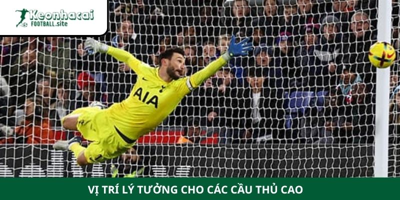 cầu thủ cao nhất thế giới Vị trí lý tưởng cho các cầu thủ cao