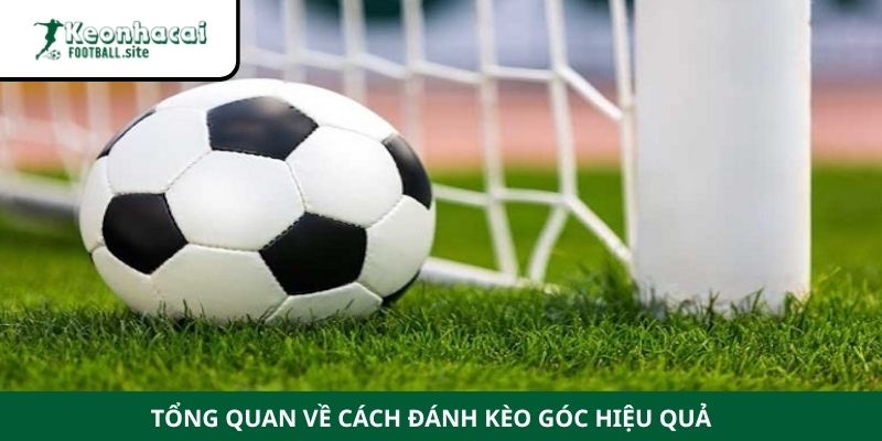 Tổng quan về cách đánh kèo góc hiệu quả