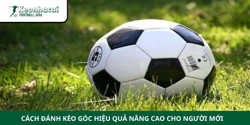 Cách đánh kèo góc hiệu quả nâng cao cho người mới