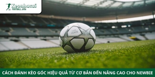 Cách Đánh Kèo Góc Hiệu Quả Từ Cơ Bản Đến Nâng Cao Cho Newbie