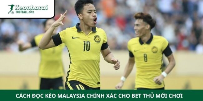 Cách Đọc Kèo Malaysia Chính Xác Cho Bet Thủ Mới Chơi