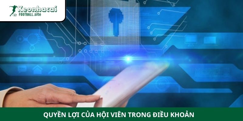 dieu khoan su dung 3 1 Quyền lợi của hội viên trong điều khoản