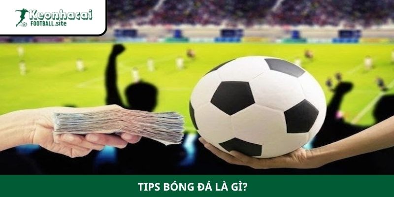 tips bong da la gi 1 Tips bóng đá là gì?