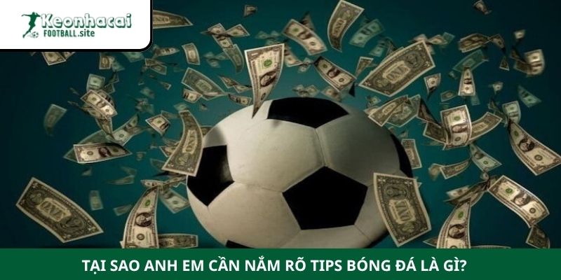 tips bong da la gi 2 Tại sao anh em cần nắm rõ tips bóng đá là gì?