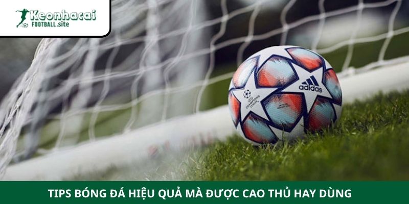 tips bong da la gi 3 Tips bóng đá hiệu quả mà được cao thủ hay dùng
