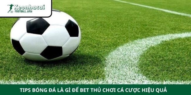 Tips Bóng Đá Là Gì Để Bet Thủ Chơi Cá Cược Hiệu Quả